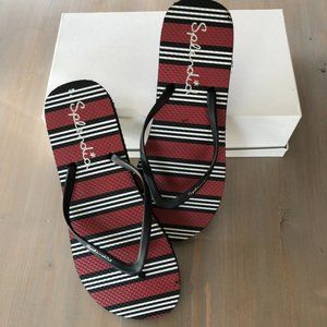 Splendid Flip Flop Sandal